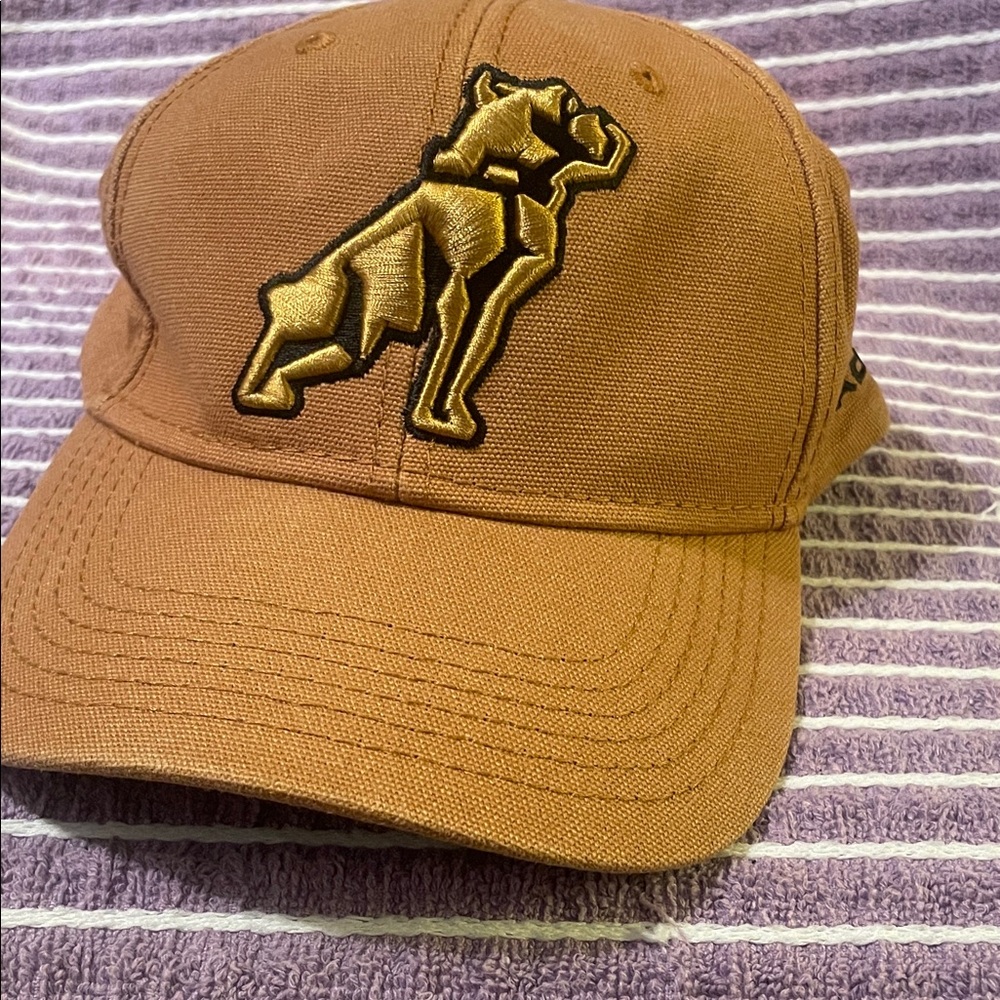 Brown Dog Embroidered Cap